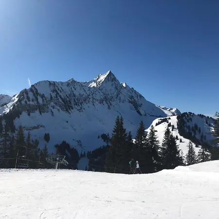 Studio 4 Personnes A 80m Des Pistes De Saint-Jean-d'Aulps